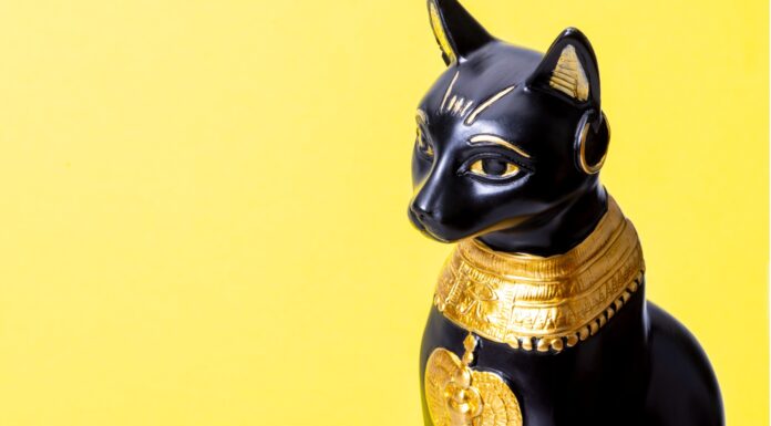 Gatos no Antigo Egito, Por que eles os adoravam?