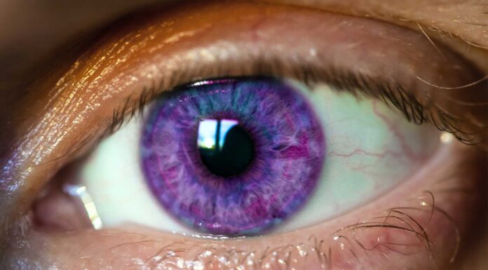 Síndrome de Alexandria: Memória Extraordinária e Mitos sobre Olhos Roxos